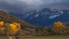 Landscapes nature Mountains Horses chrome