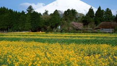 Landscapes nature Mountains Japan