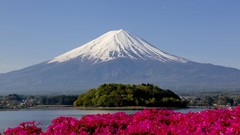 Landscapes nature Mountains Japan pink flowers mount fuji Mt. 
