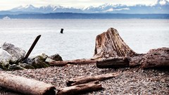 Landscapes nature Mountains lakes Driftwood