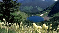 Landscapes nature Mountains lakes forests