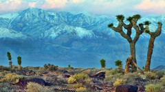 Landscapes nature Mountains land California