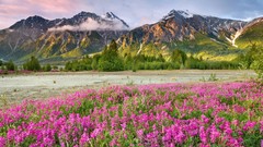 Landscapes nature Mountains land Canada British Columbia pink 