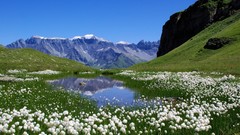 Landscapes nature Mountains meadows switzerland Alps white 