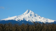 Landscapes nature Mountains Mt. Hood
