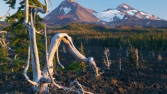 Landscapes nature Mountains national park forests