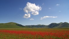 Landscapes nature Mountains Poppies
