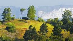 Landscapes nature Mountains port prince Haiti