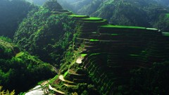 Landscapes nature Mountains rice terraces forests ricefields