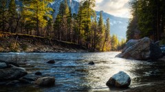 Landscapes nature Mountains rivers forests The River