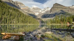 Landscapes nature Mountains rivers pine trees