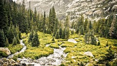 Landscapes nature Mountains rocks forests pine trees HDR 
