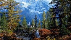 Landscapes nature Mountains switzerland forests