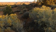 Landscapes nature multiscreen