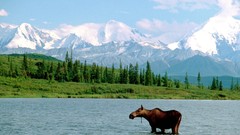 Landscapes nature national park