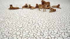 Landscapes nature national park african Tanzania Serengeti