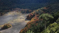 Landscapes nature national park chile forests