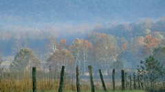Landscapes nature national park great smoky mountains cove