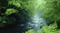 Landscapes nature national park Tennessee rivers great smoky 