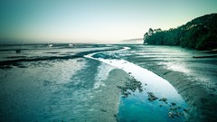 Landscapes nature New Zealand Auckland sea shorelines
