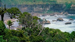 Landscapes nature New Zealand cliffs mist
