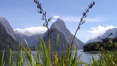 Landscapes nature New Zealand sound peak lakes