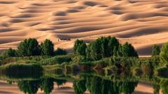 Landscapes nature oasis Camels reflections national geographic 