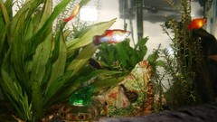 Landscapes nature ocean skies