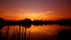 Landscapes nature orange evening horizon silhouettes
