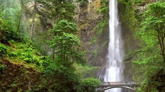 Landscapes nature Oregon falls
