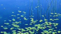 Landscapes nature Oregon lakes Parks