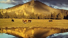 Landscapes nature Oregon rocks Parks reflections smith