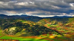 Landscapes nature overcast