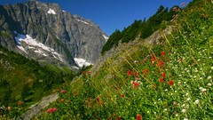 Landscapes nature paint brush north national park