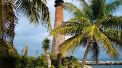 Landscapes nature palm trees