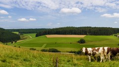Landscapes nature panorama multiscreen