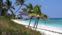 Landscapes nature paradise Beaches