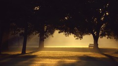 Landscapes nature Parks