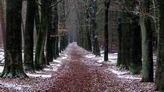 Landscapes nature Parks