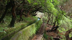 Landscapes nature paths