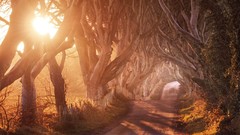 Landscapes nature paths