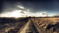 Landscapes nature plains