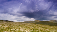 Landscapes nature plains skyscapes