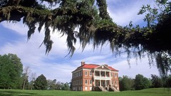 Landscapes nature plantation