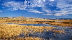 Landscapes nature pole