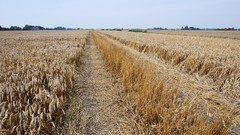 Landscapes nature pole