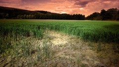 Landscapes nature pole