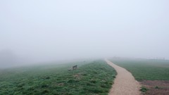 Landscapes nature pole