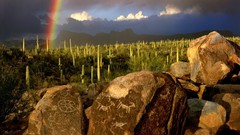 Landscapes nature pole