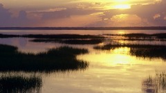 Landscapes nature ponds